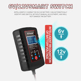 Load image into Gallery viewer, 6V / 12V Smart Switch Battery Charger RJ-C120201A